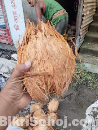 নারকেল